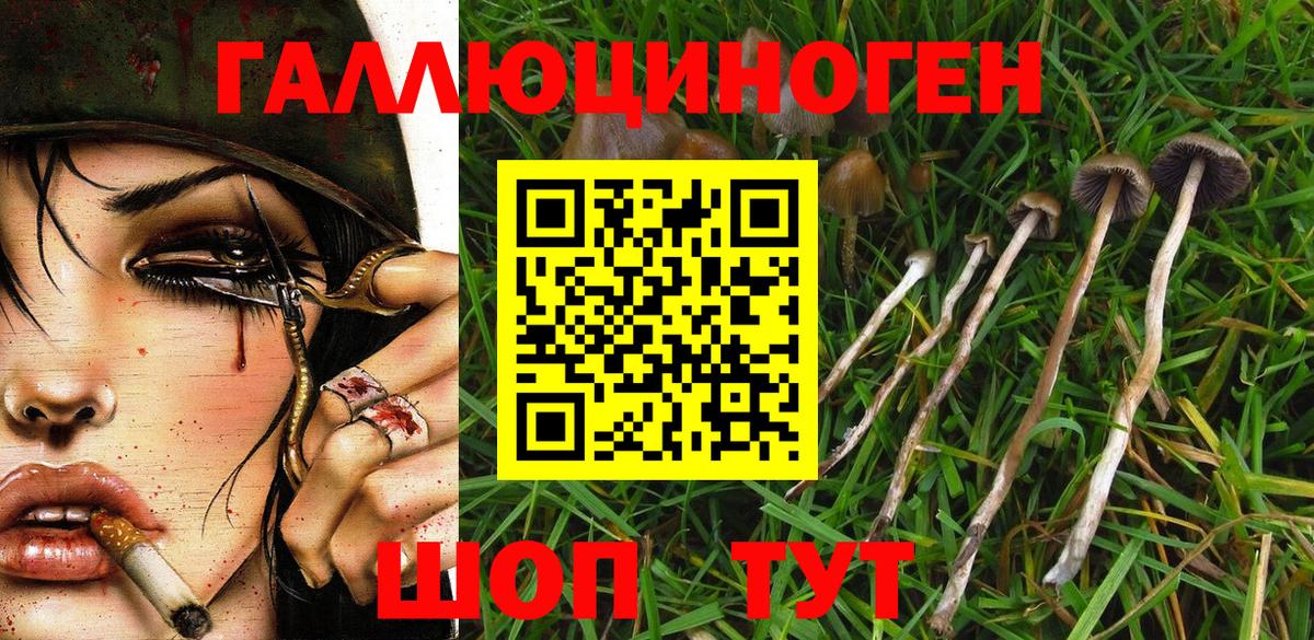 Псилоцибиновые грибы ЛСД Кизляр