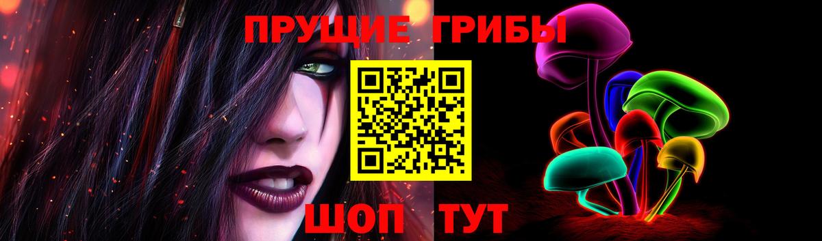 Кизляр  Псилоцибиновые грибы MAGIC MUSHROOMS  Вход с VPN 